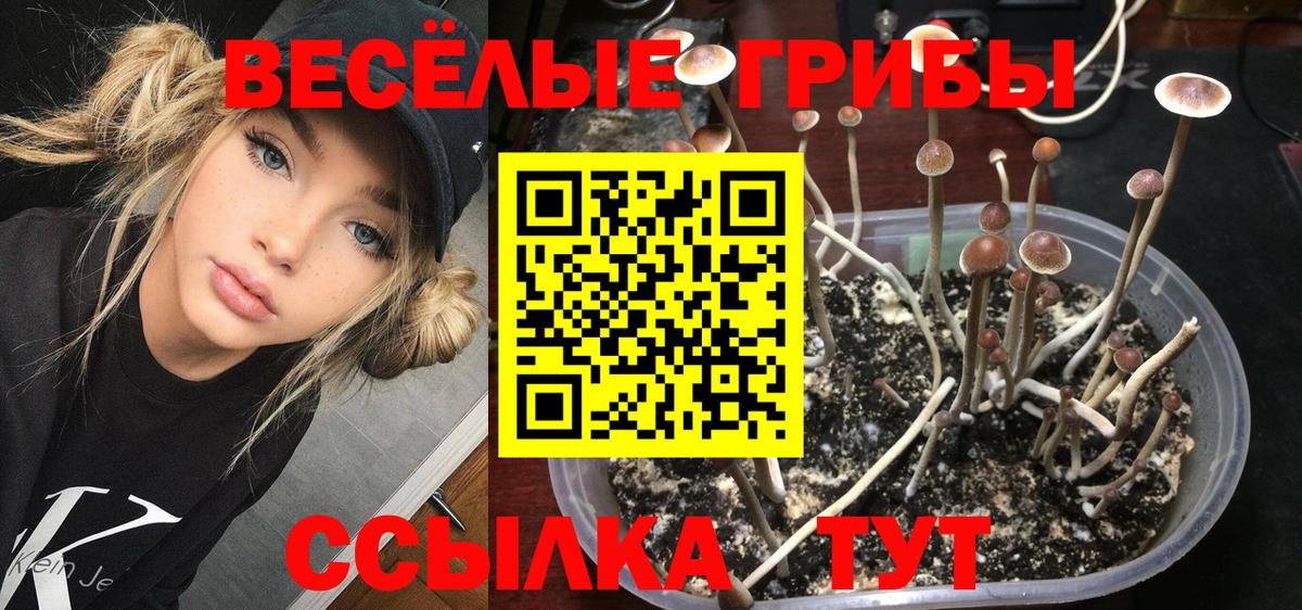 купить наркотики сайты  Псилоцибиновые грибы MAGIC MUSHROOMS  Галлюциногенные грибы Psilocybe  Вход с VPN  Среднеуральск 