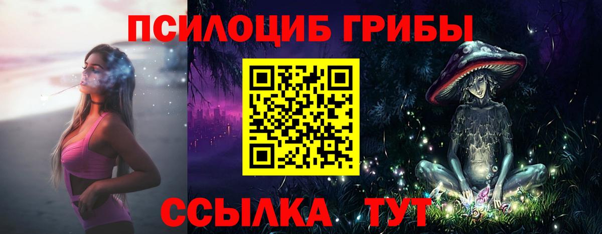 Галлюциногенные грибы Cubensis Среднеуральск
